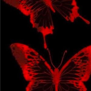 Meet your Posher, Sofia